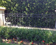 Fence & Gate 40 - by Isaac's Ironworks 818-982-1955