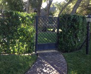 Pedestrian Gate 09 - by Isaac's Ironworks 818-982-1955