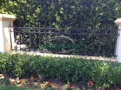 Fence & Gate 40