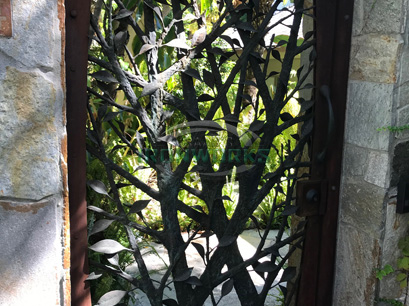 Fence & Gate 73